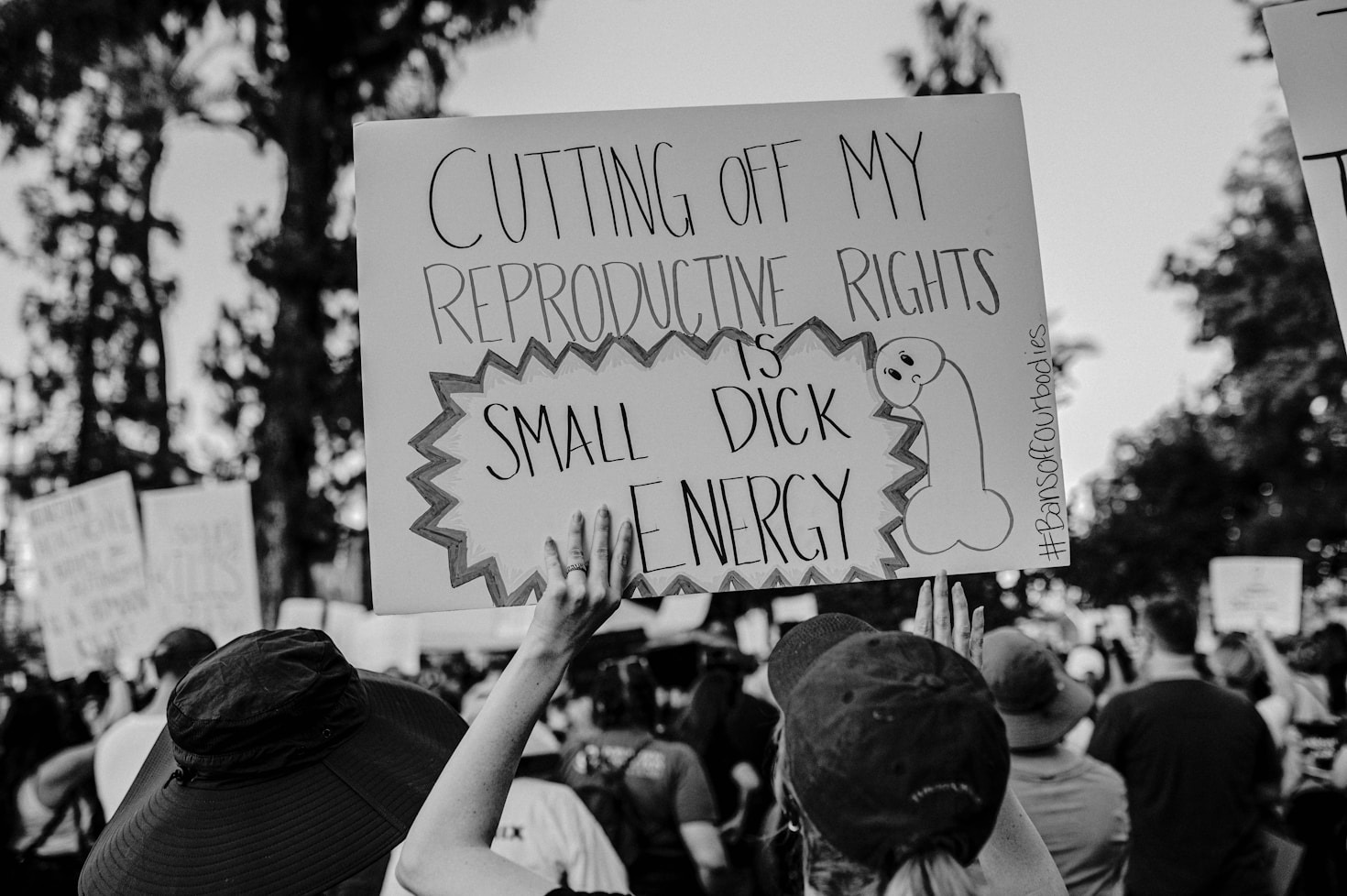 Understanding Political Accountability Through Research